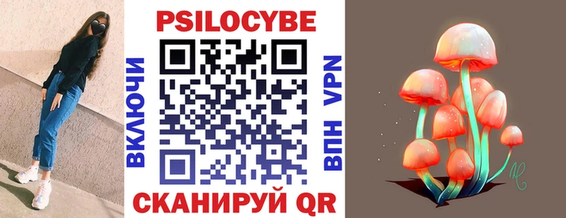 Псилоцибиновые грибы Cubensis  Мосальск 